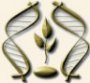 Web site of the Institute of Genetics and Cytology of NAS of Belarus